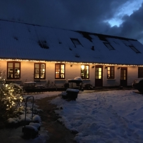 Udenfor på gården i snevejr