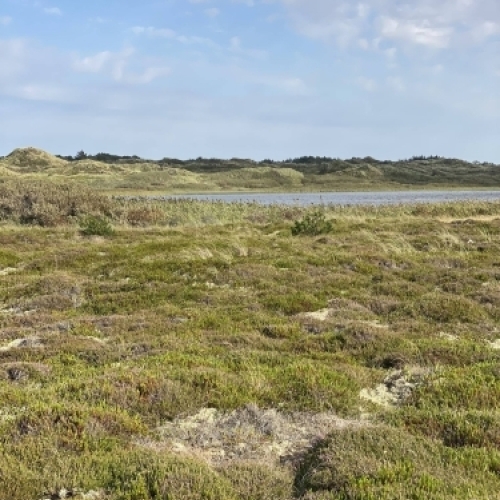 Havet tæt på