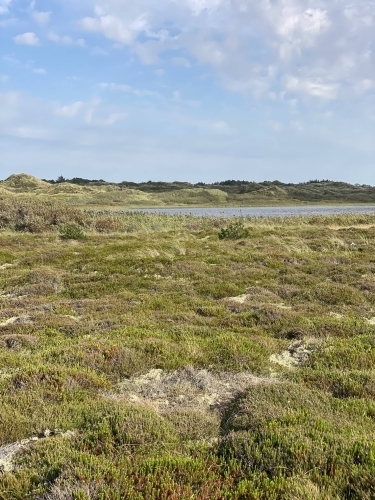 Havet tæt på